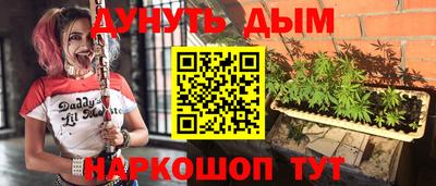 сатива Будённовск