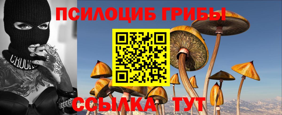 Геленджик  Псилоцибиновые грибы Psilocybe  Вход с VPN 